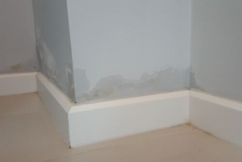 Ninja Damp Proofing Glasgow Rising Damp service menu