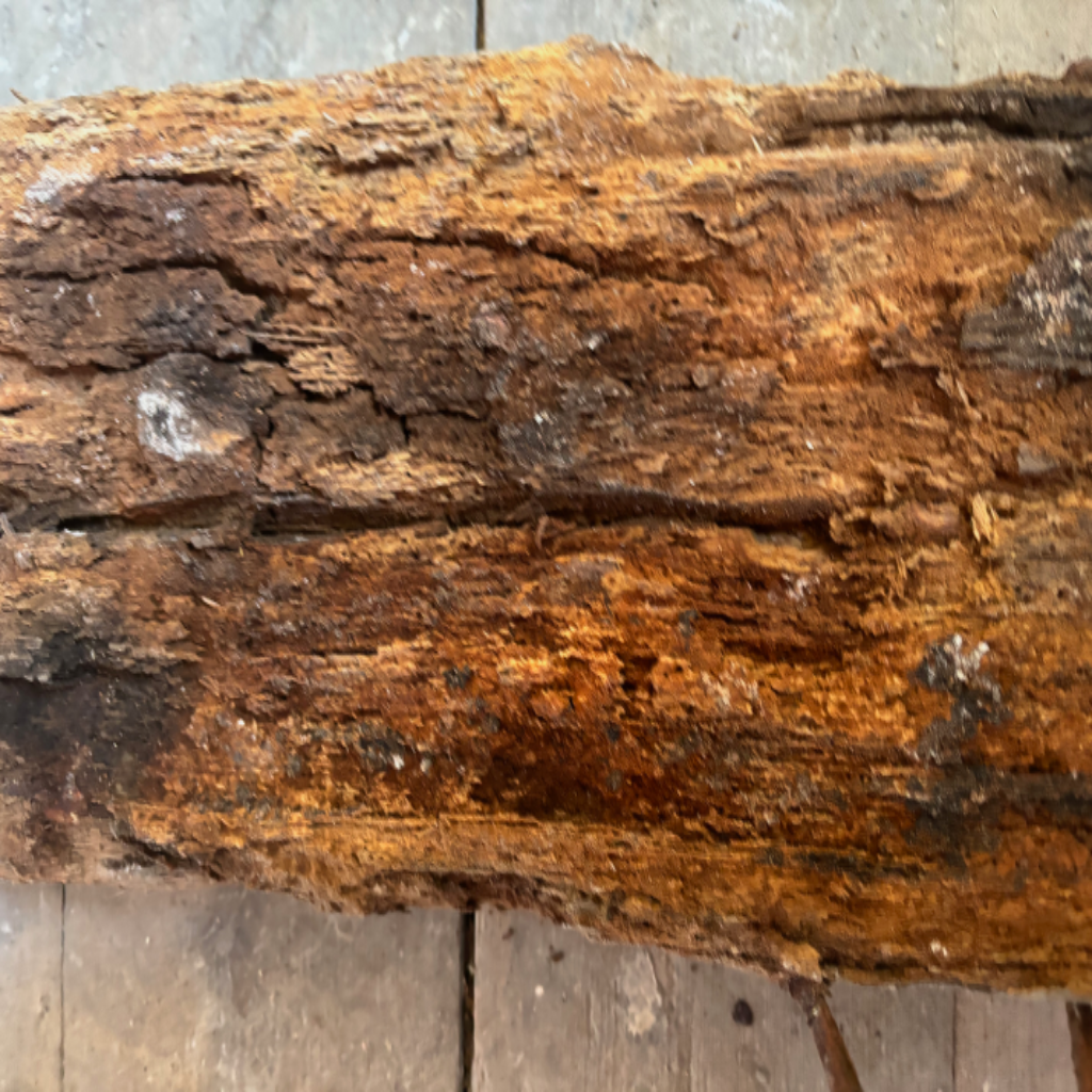 Wet rot on timber