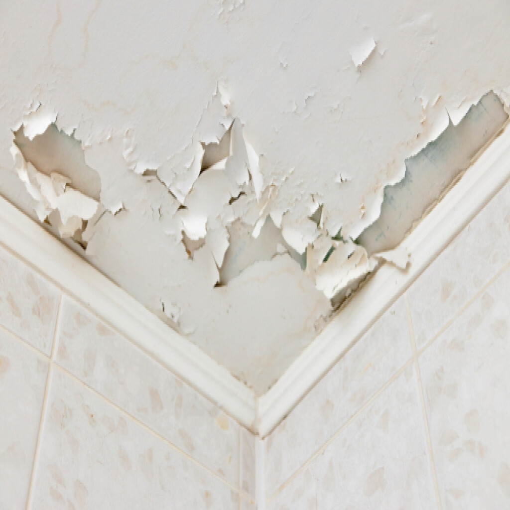 Ceiling paint peeling due to penetrating dampness