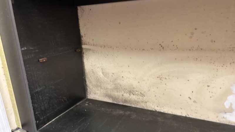 IMG_6346 Ninja Damp Proofing Glasgow City Centre Robert Graham Mould on Shelf