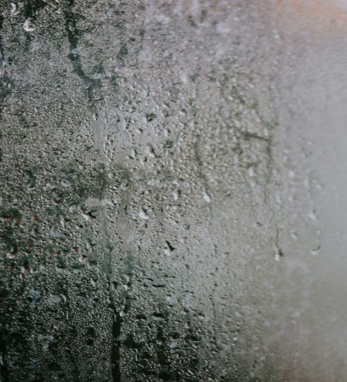 Condensation on a cold window